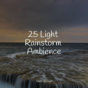 25 Light Rainstorm Ambience