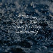 25 Relaxing Autumn Rain Sounds for Sleep and Serenity