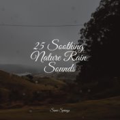 25 Soothing Nature Rain Sounds