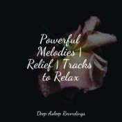 Powerful Melodies | Relief | Tracks to Relax