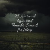 25 Natural Rain and Thunder Sounds for Sleep