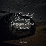 25 Sounds of Rain and Gorgeous Rain Sounds