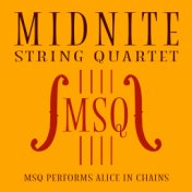 MSQ Performs Alice in Chains