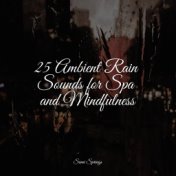 25 Ambient Rain Sounds for Spa and Mindfulness