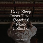 Deep Sleep Focus Time - Beautiful Piano Collection