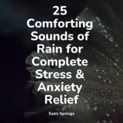 25 Comforting Sounds of Rain for Complete Stress & Anxiety Relief