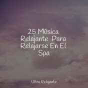 25 Música Relajante  Para Relajarse En El Spa