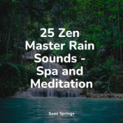 25 Zen Master Rain Sounds - Spa and Meditation