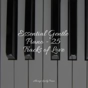 Essential Gentle Piano - 25 Tracks of Love