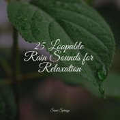 25 Loopable Rain Sounds for Relaxation