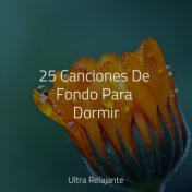 25 Canciones De Fondo Para Dormir