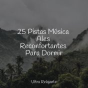 25 Pistas Música Ales Reconfortantes Para Dormir