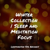 Winter Collection | Sleep and Meditation Focus