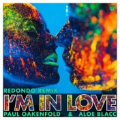 I'm in Love (Redondo Remix)