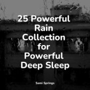 25 Powerful Rain Collection for Powerful Deep Sleep
