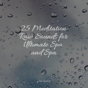 25 Meditation Rain Sounds for Ultimate Spa and Spa