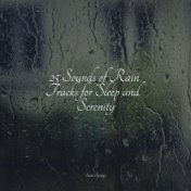 25 Sounds of Rain Tracks for Sleep and Serenity