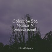 Colección Spa Música  Y Desestrezante
