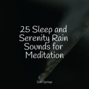 25 Sleep and Serenity Rain Sounds for Meditation