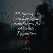 25 Spring & Summer Rain Soundscapes for Absolute Relaxation