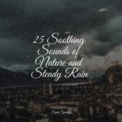 25 Soothing Sounds of Nature and Steady Rain