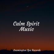 Calm Spirit Music