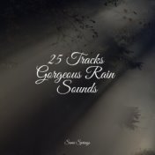 25 Tracks Gorgeous Rain Sounds