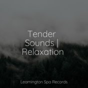 Tender Sounds | Relaxation