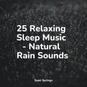 25 Relaxing Sleep Music - Natural Rain Sounds