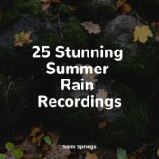 25 Stunning Summer Rain Recordings