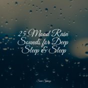 25 Mood Rain Sounds for Deep Sleep & Sleep