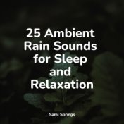 25 Ambient Rain Sounds for Sleep and Relaxation