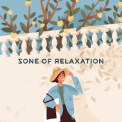 Zone of Relaxation – Music for Spa, Sleep and Relax