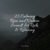 25 Calming Rain and Nature Sounds for Reiki & Relaxing