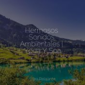 Hermosos Sonidos Ambientales | Yoga Y Spa