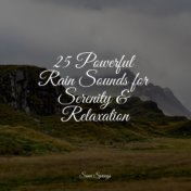 25 Powerful Rain Sounds for Serenity & Relaxation