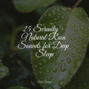 25 Serenity - Natural Rain Sounds for Deep Sleep