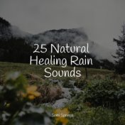 25 Natural Healing Rain Sounds