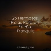 25 Hermosas Pistas Para Un Sueño Tranquilo