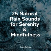 25 Natural Rain Sounds for Serenity & Mindfulness