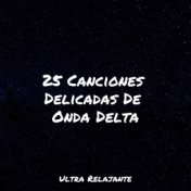 25 Canciones Delicadas De Onda Delta