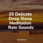 25 Delicate Deep Sleep Meditation Rain Sounds