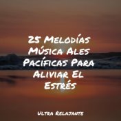 25 Melodías Música Ales Pacíficas Para Aliviar El Estrés