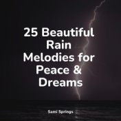 25 Beautiful Rain Melodies for Peace & Dreams