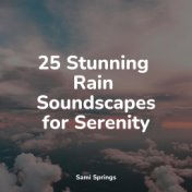 25 Stunning Rain Soundscapes for Serenity