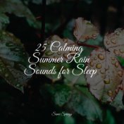 25 Calming Summer Rain Sounds for Sleep