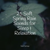 25 Soft Spring Rain Sounds for Sleep & Relaxation