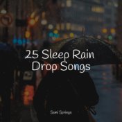 25 Sleep Rain Drop Songs