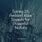 Spring 25 Ambient Rain Sounds for Powerful Nature