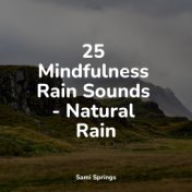 25 Mindfulness Rain Sounds - Natural Rain